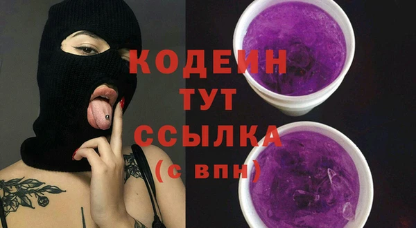 ПСИЛОЦИБИНОВЫЕ ГРИБЫ Михайлов