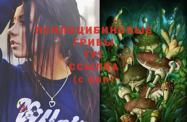 ПСИЛОЦИБИНОВЫЕ ГРИБЫ Михайлов