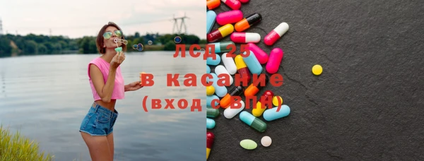 ПСИЛОЦИБИНОВЫЕ ГРИБЫ Михайлов