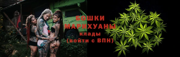 сатива Михайловск