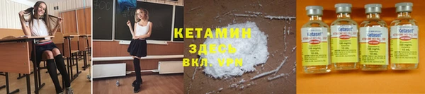ПСИЛОЦИБИНОВЫЕ ГРИБЫ Михайлов
