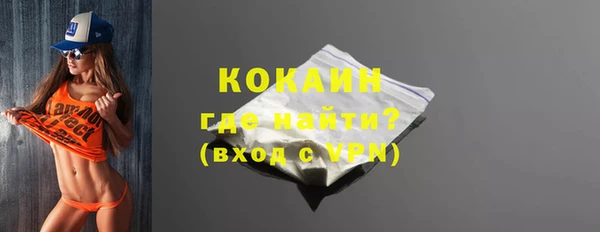 ПСИЛОЦИБИНОВЫЕ ГРИБЫ Михайлов