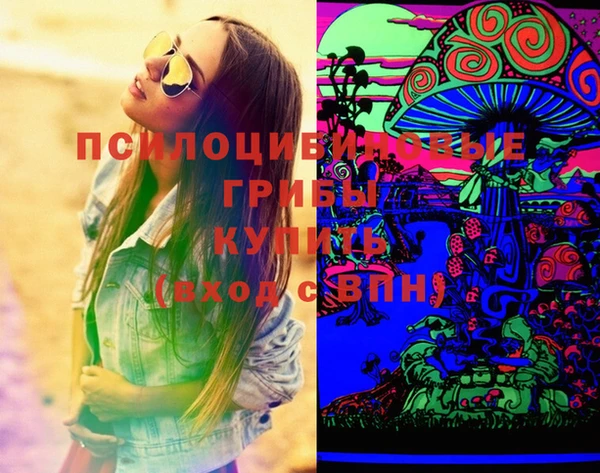 сатива Михайловск