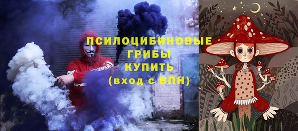 стаф Медногорск