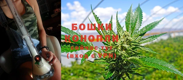 ПСИЛОЦИБИНОВЫЕ ГРИБЫ Михайлов