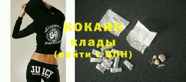ПСИЛОЦИБИНОВЫЕ ГРИБЫ Михайлов