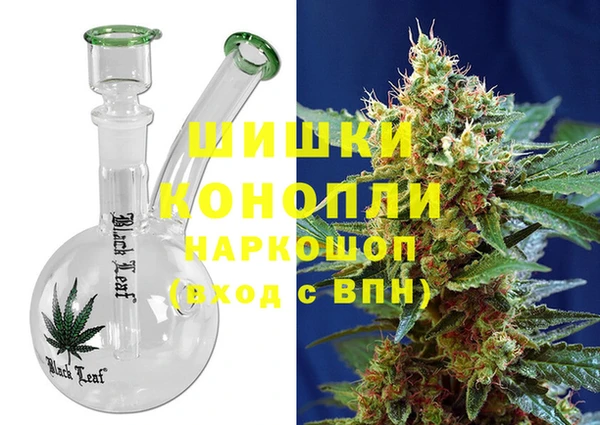 ПСИЛОЦИБИНОВЫЕ ГРИБЫ Михайлов