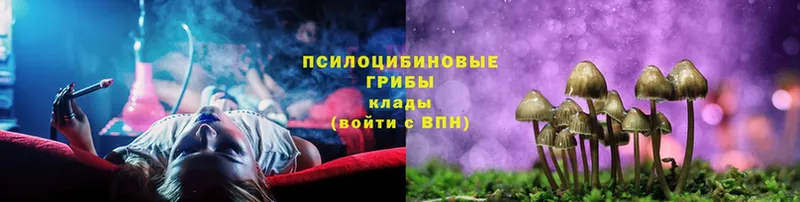 Псилоцибиновые грибы Magic Shrooms  Нерехта 