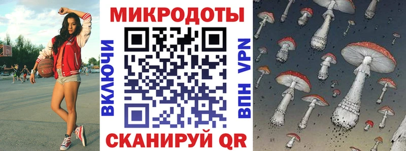 как найти   Нерехта  блэк спрут онион  Галлюциногенные грибы MAGIC MUSHROOMS 